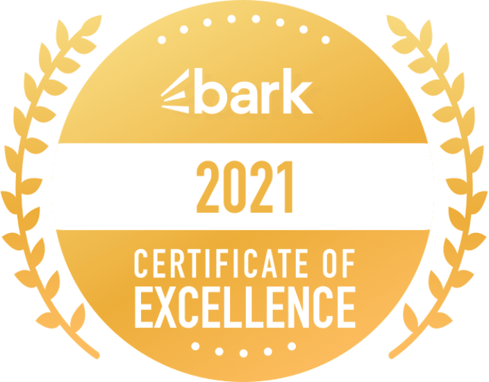 Cert of Excel 21
