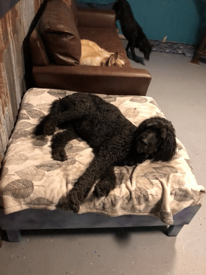 Rest Time
