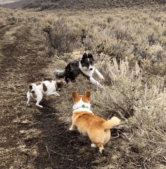 Playtime