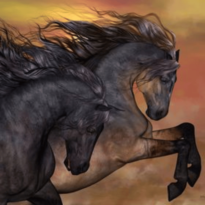 horses