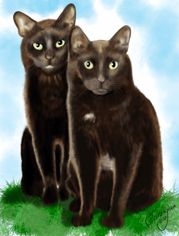 Digitally painted cats