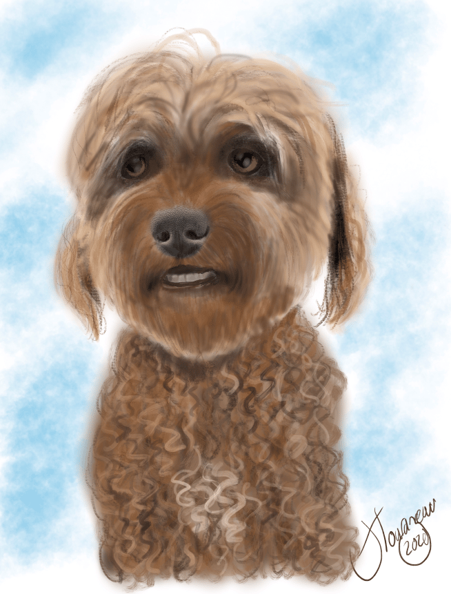 Digitally painted cockapoo 