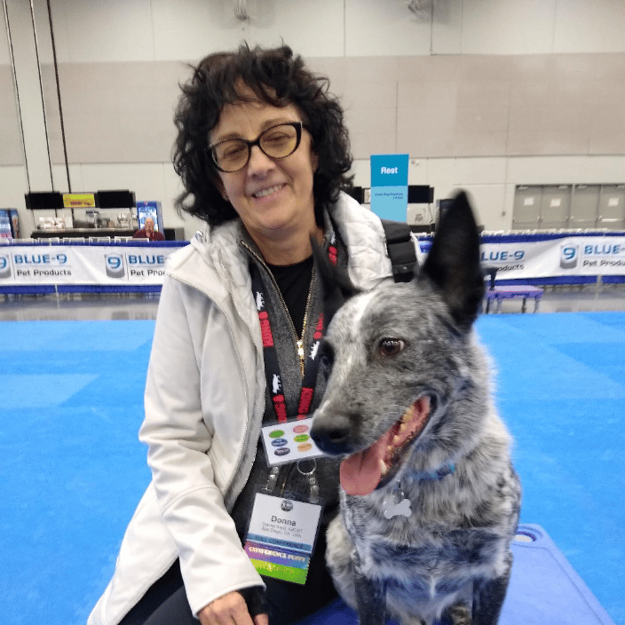 APDT Conference 2019