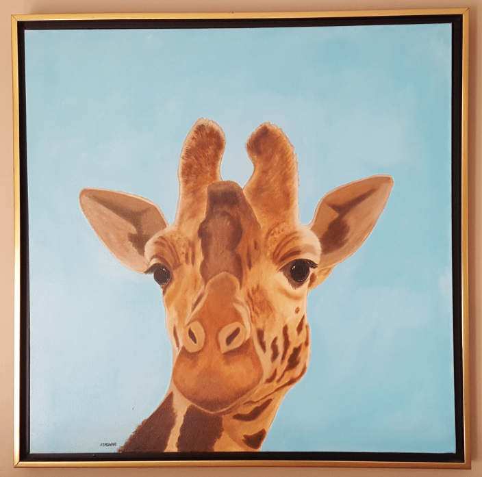 Giraffe at the zoo