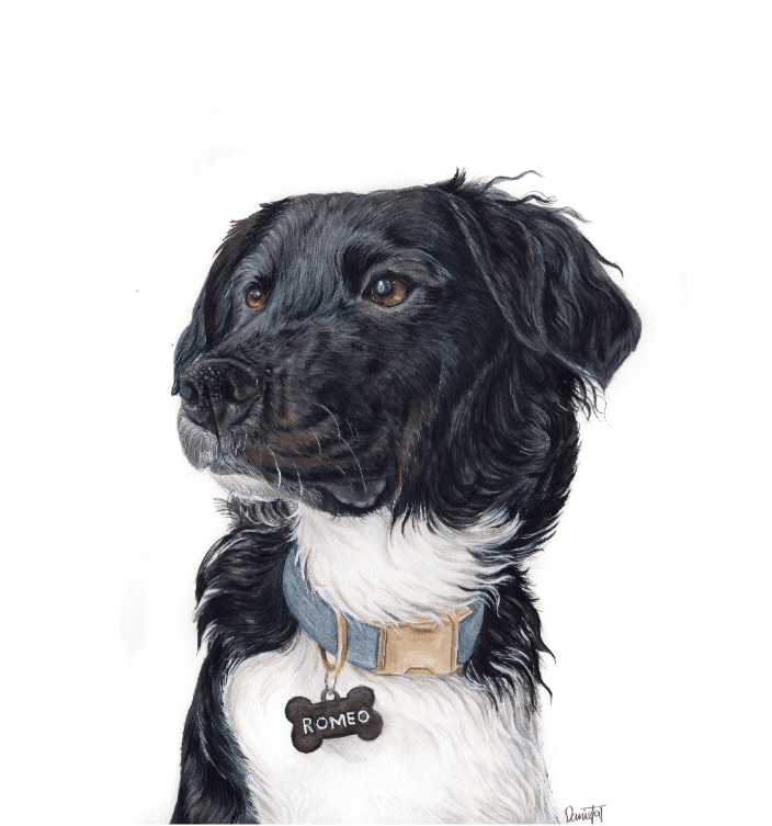 11X14 Detailed Portrait
