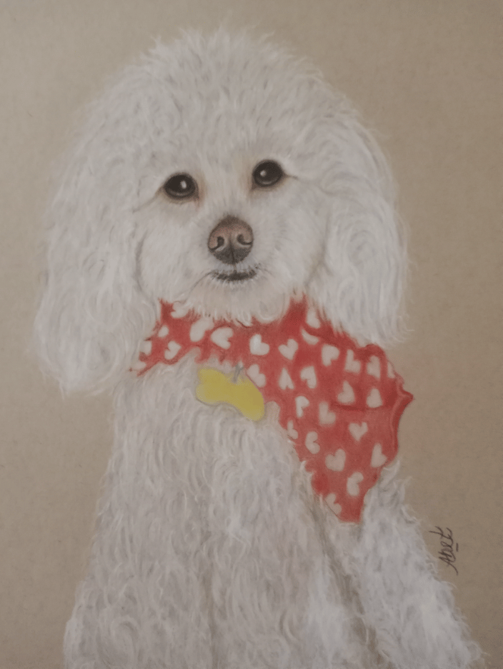 Max is a poodle. This was a memorial piece.