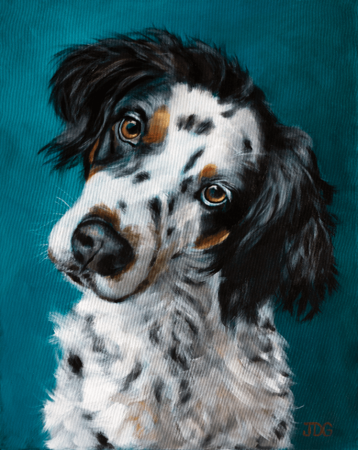 Poppy, the English Setter