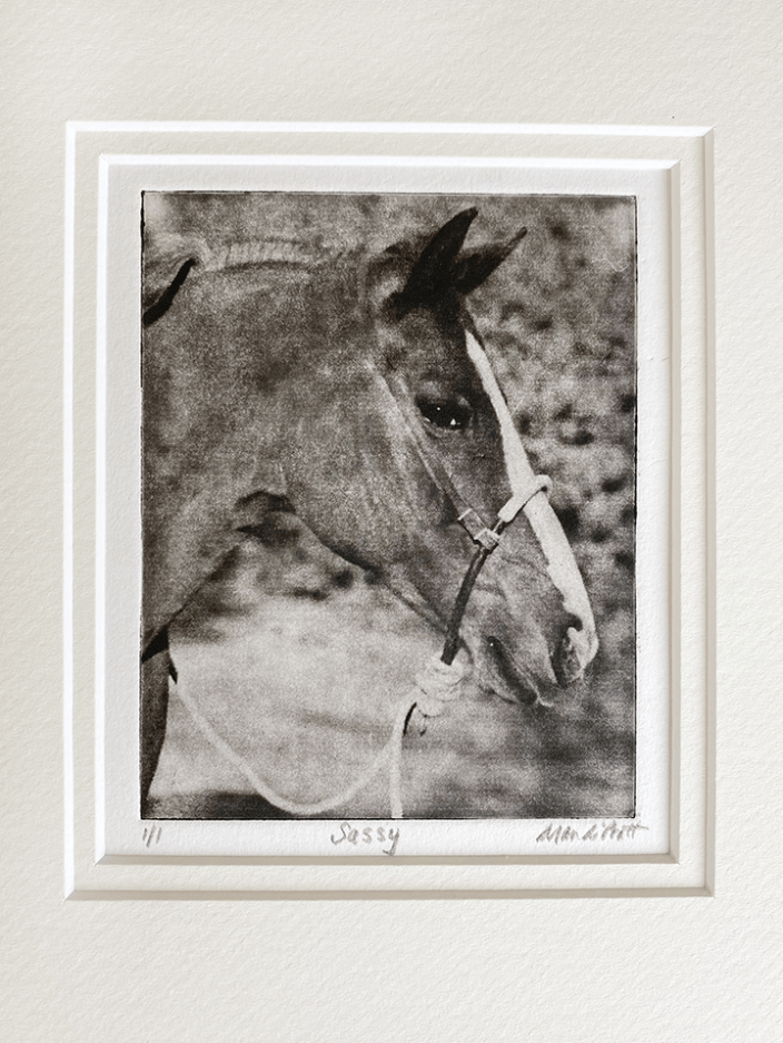 Custom Horse Portrait