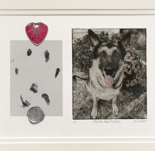 dog portrait with paw print and dog tag