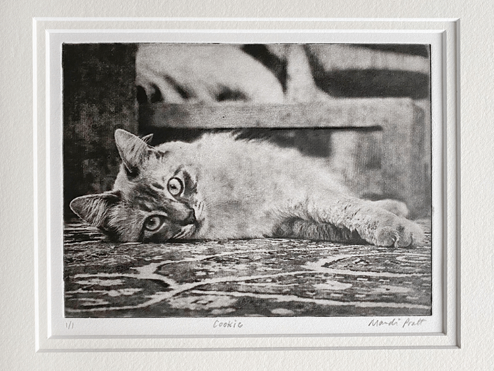 Custom Cat Portrait 