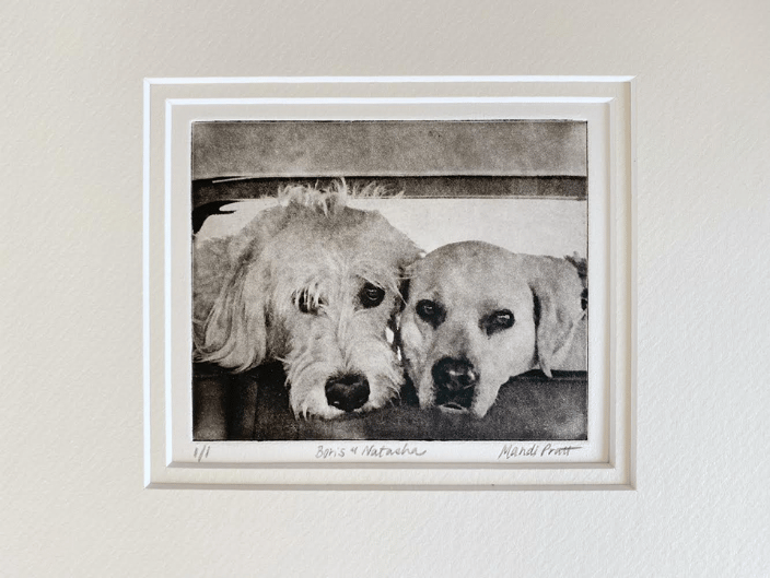 Custom Dog Portrait of Two Dogs