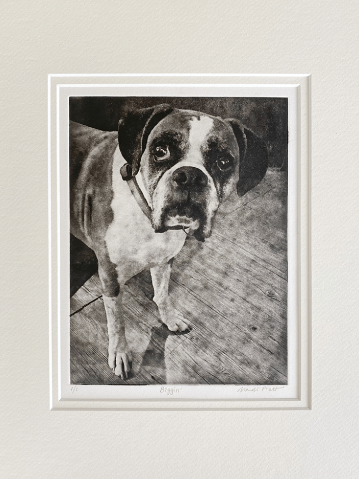 Handmade Dog Portrait Etching of Boxer Dog