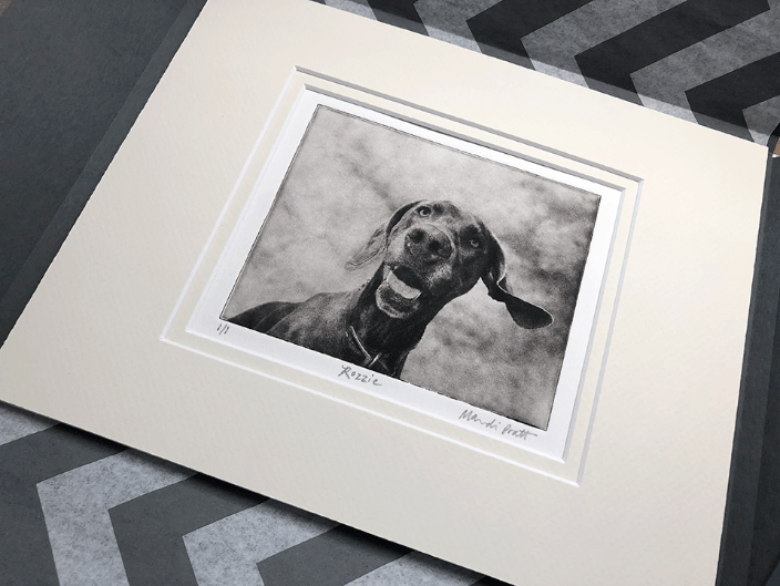 Custom Dog Portrait in Wrapping