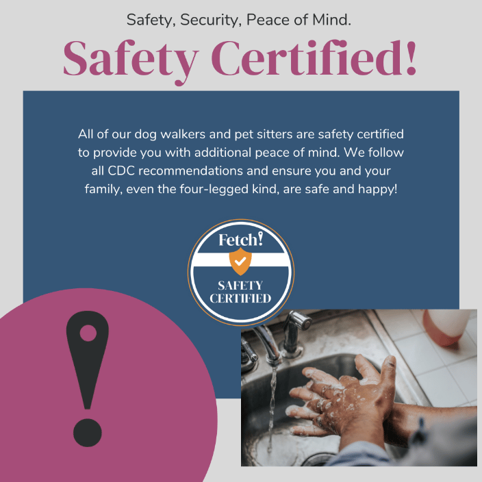 Safety Certification