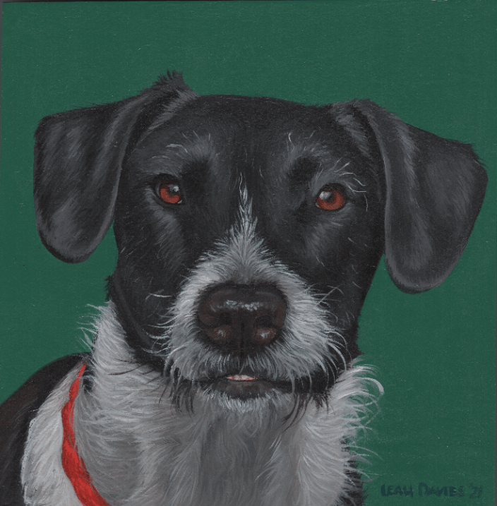 Tucker | Oil on Wood | 8x8