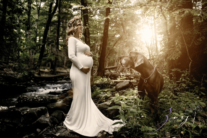 Great Dane with an expecting mom in a forest.