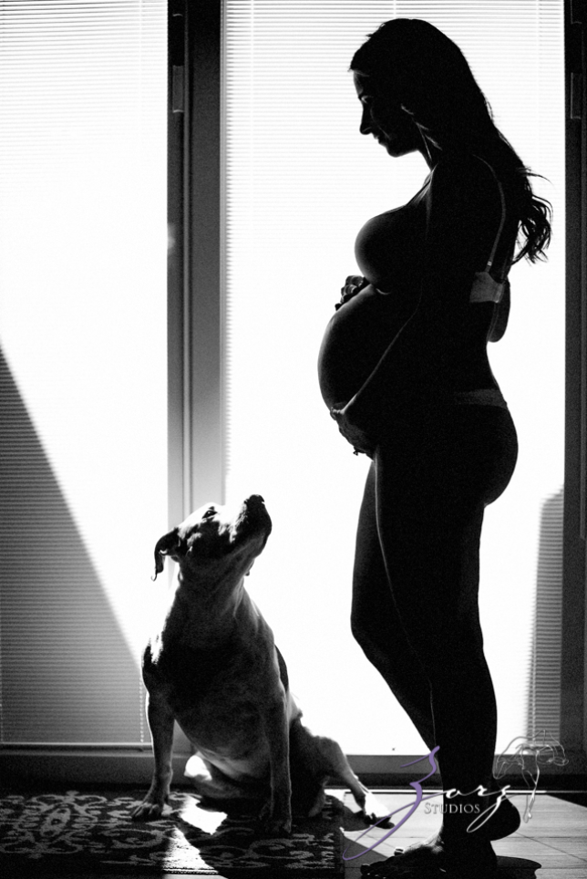 A dog with expecting mom.