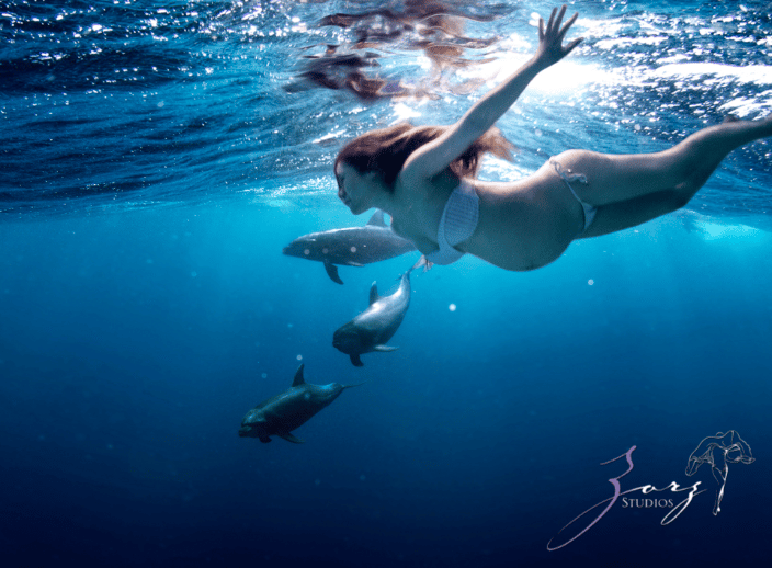 Dolphins swimming with an expecting mom.