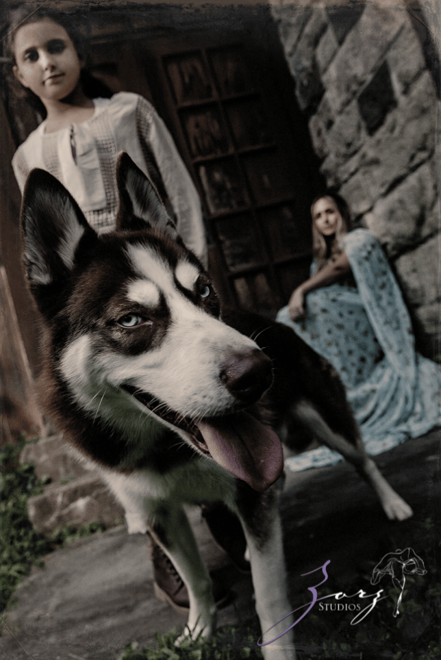A husky for Game of Thrones theme shoot