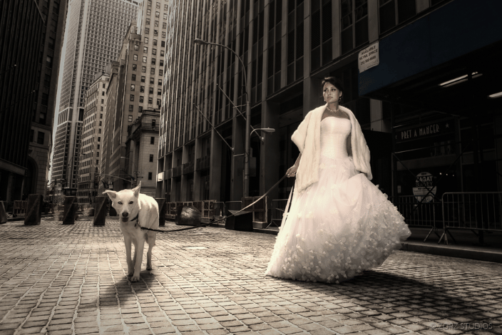 A white husky walking with a bride in white dress in an empty city
