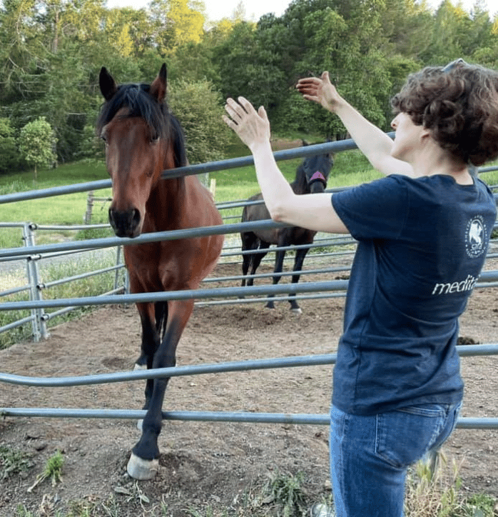 Scalar Wave with an equine friend