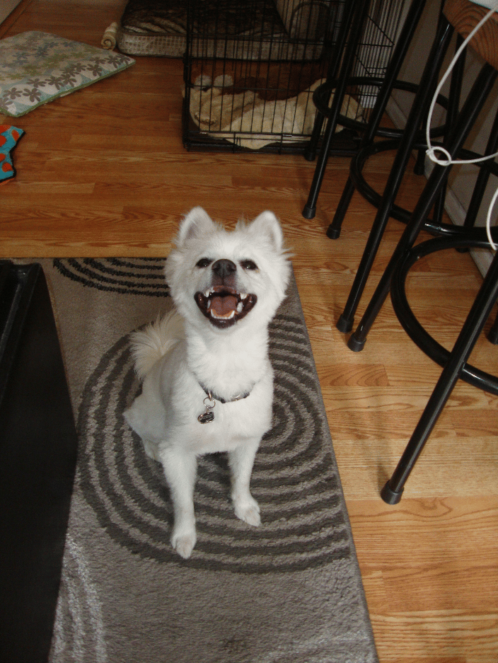 Bali just shines when he smiles