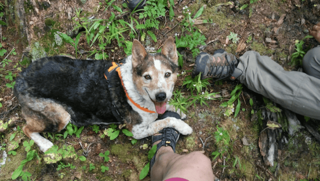Clementine and her famous "foot hug" on the Western Slope of CO
