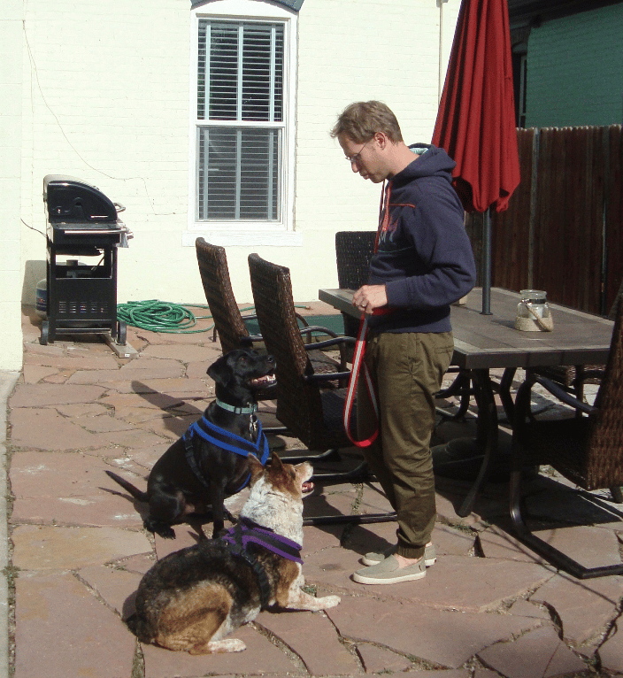 Thor and Clementine, learning together with Eric, one of Thor's people