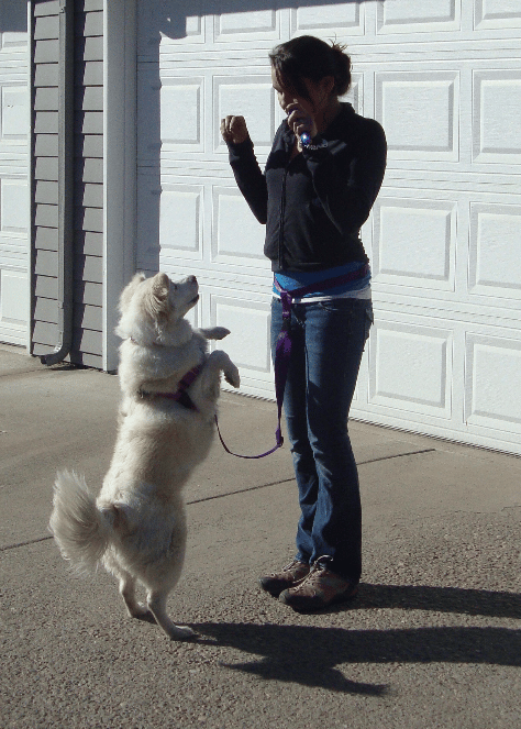 Pearl dancing with a student trainer