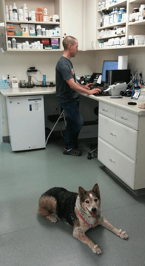 Clementine proves vet visits can be FUN! 