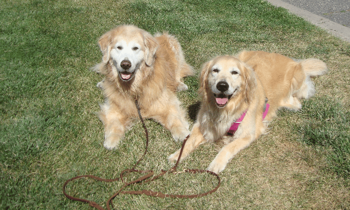 The forever smiling Bou & Olive