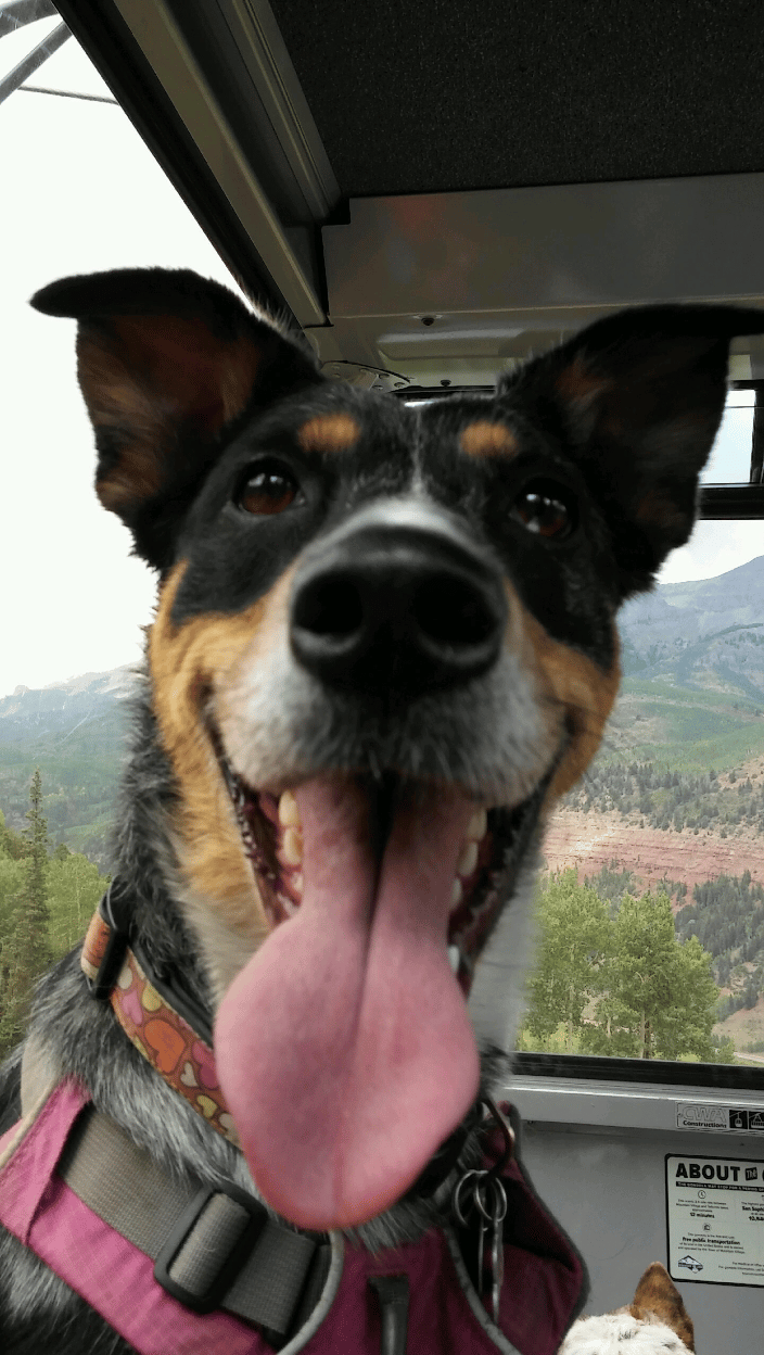 Riding a gondola can be fun!