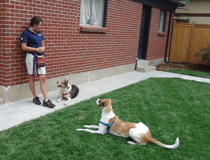 Clementine & Freska focusing on student trainer