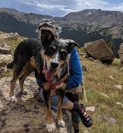 Blossom photo bomb while hiking the Continental Divide Trail