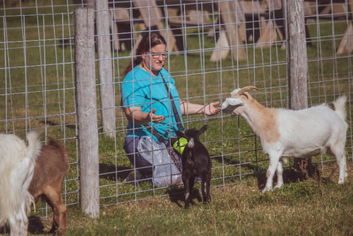Kathy infuses Reiki into apples for the goats, but first she is connection with them to ask for permission.