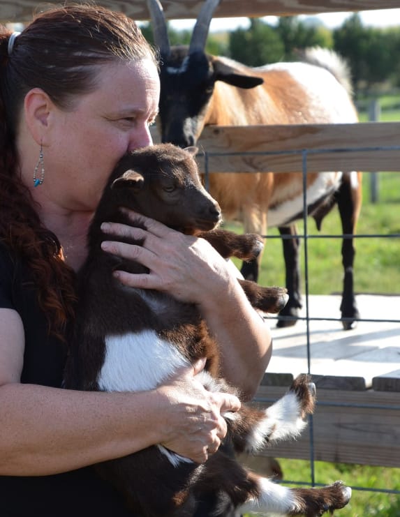 Kathy is rescuing a escape baby goat!