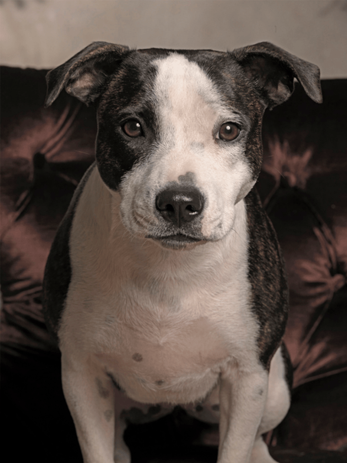 Joon Staffy