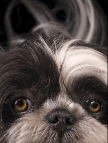 closeup