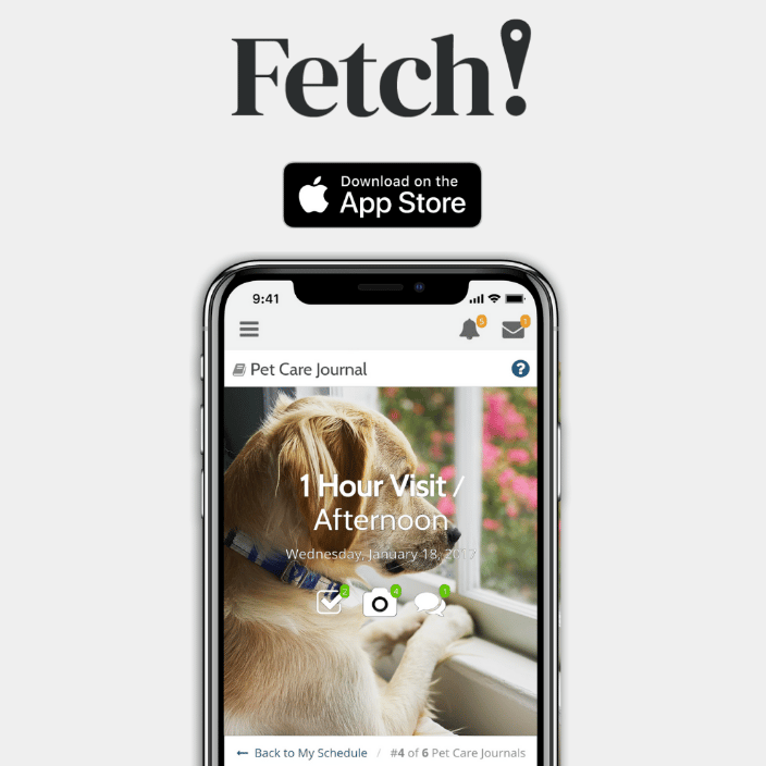 App