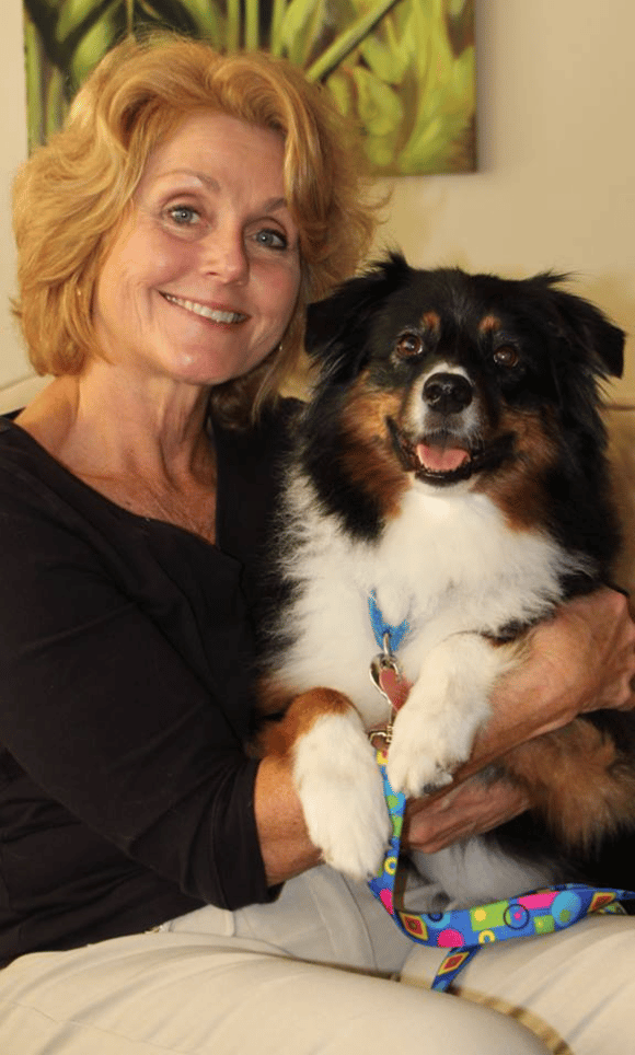 Angel, my aussie that inspired me to help dogs feel better with arthritis