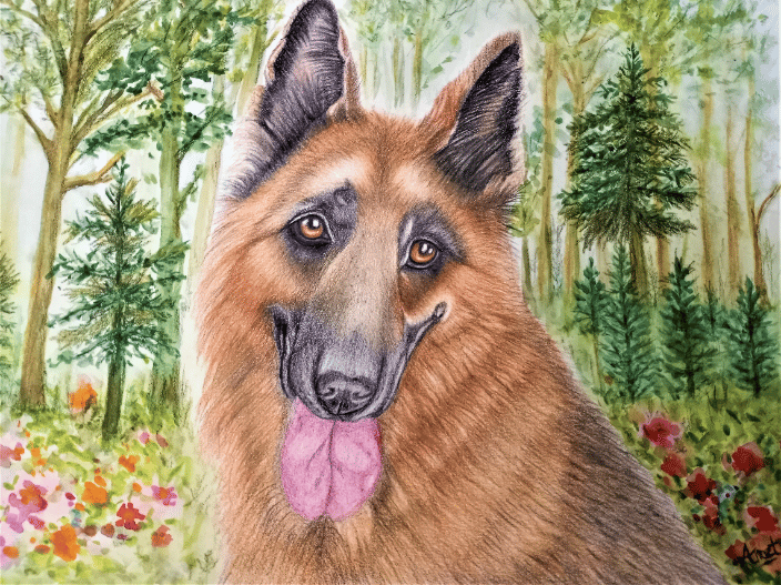 German Shepherd with watercolor background 