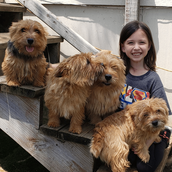 Pet Sitter in training