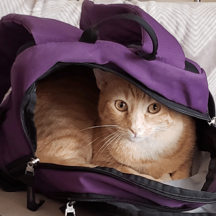 Kara love getting into things