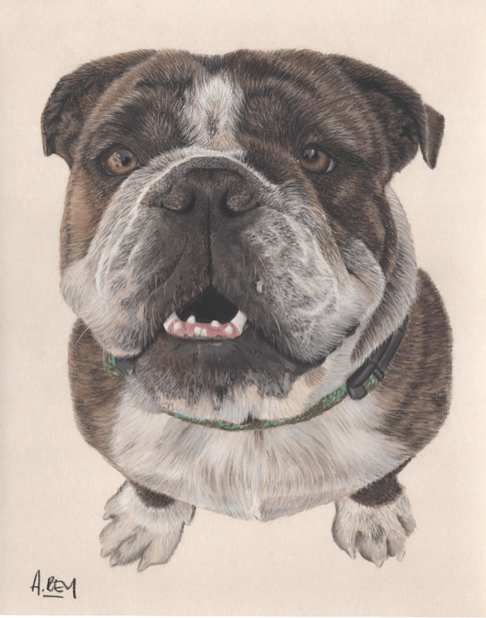 Pastel Portrait of Winston
