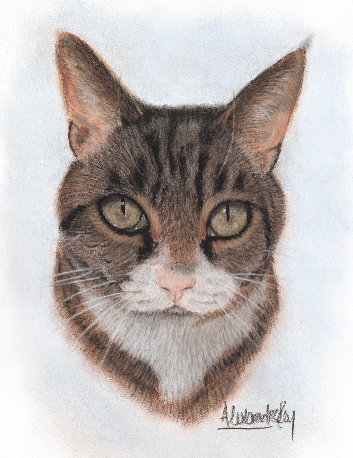 Pastel portrait of Lou