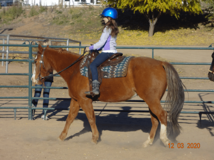 8 year old Keeley on her first ever ride, on Lilbitblue Sneaky