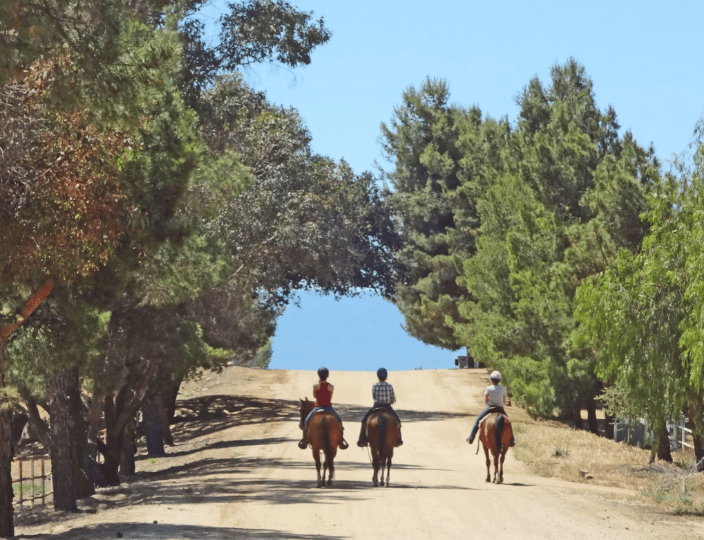 Three friend on a trail ride from our ranch = heaven!