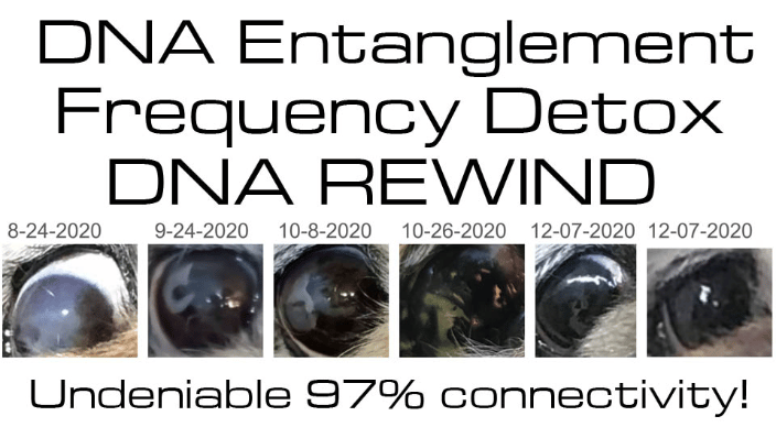 Cataract healing via DNA Entanglement Frequency Detox DNA Rewind!
