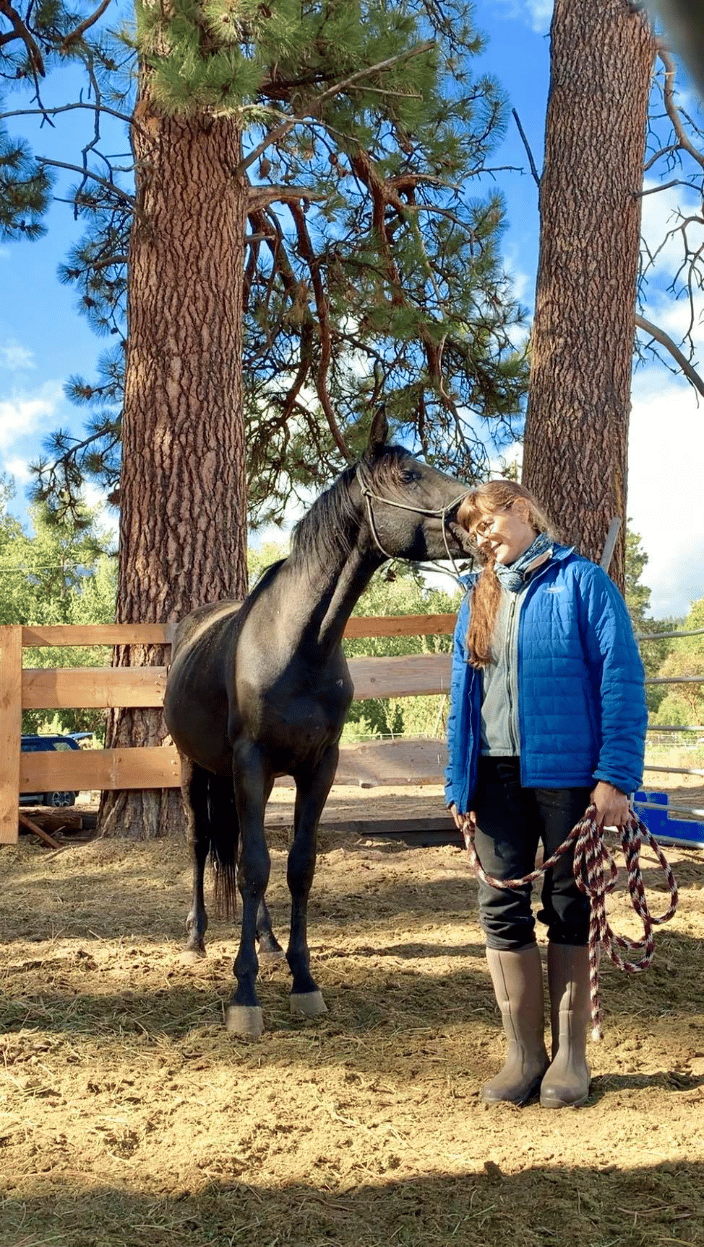 A horse is telling me his thoughts.