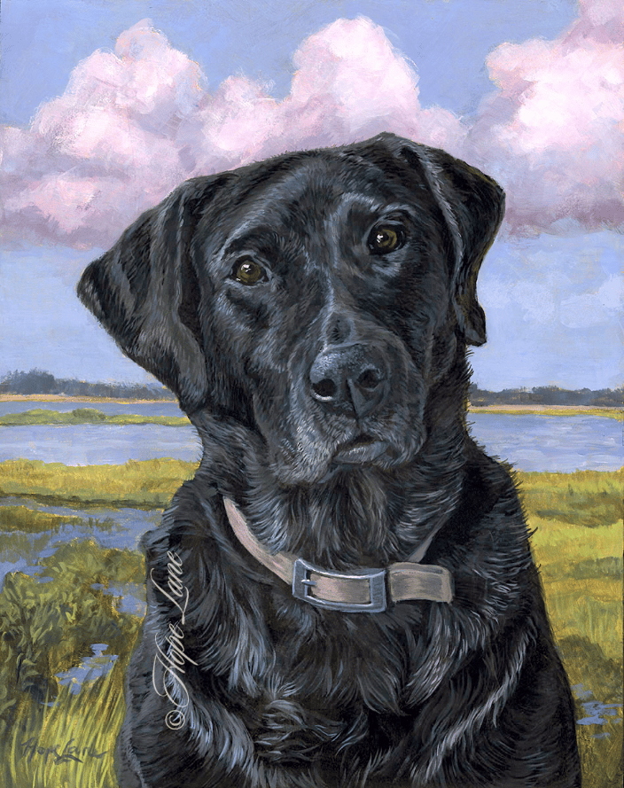 Pac the Black Lab